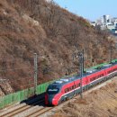 H1091 이미지