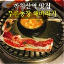 푸른농장 해바라기 이미지