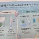 부산남구도서관 네이버블로그