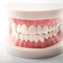 고른e치과교정과치과의원 | 마포구어린이치과, 초등학생 치아교정 발치 꼭 필요할까?