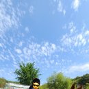 문산초등학교병설유치원 이미지