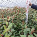 용기농장 이미지