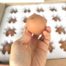 이삭농장3 이미지