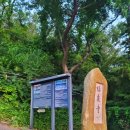 복천사 현왕도 및 복장유물 일괄 이미지