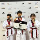 경희대TOP태권도장 이미지