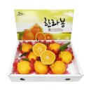 백록담제주특산품 이미지