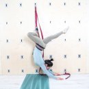 비니테라피 요가Ⅰ 이미지