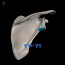 바디에이프PT&헬스 이미지