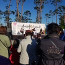 국화전시회 버스킹 문화공연 이미지