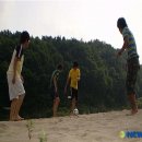 대진교 - 고성군 | 대진교