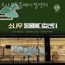 소나무병원 | 인천 효성동 동물병원 소나무동물메디컬센터 위치 오는길 후기