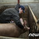 영일축산 이미지