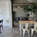 송강애견 이미지