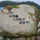 광도면사무소 이미지