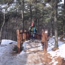 장성중앙초등학교 이미지