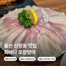 씨유울산시청점 | 울산 신정동 맛집 회바다 포장받아 남구 시청 근처 횟집 점심특선 밥집