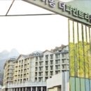 파인트리리조트
