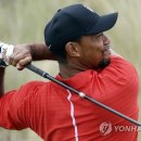 황제(898) 이미지