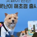 (주)다정푸드