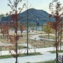 합강캠핑장(프리캠핑존) 이미지