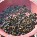 휴일엔펜션 이미지