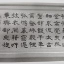 숲피세천 이미지