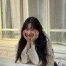 향수모아