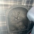 올치동물병원 이미지