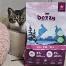 청정지역캐나다사료 Non-GMO 베지캣 피쉬 포뮬러 bezzy 사료추천