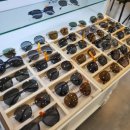 으뜸아이안경 거제옥포점 이미지