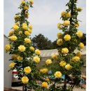 현재농장 이미지