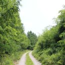 계룡산골프장 이미지