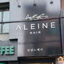 헤어알렌느 이미지