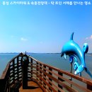 속동전망대 이미지