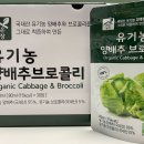 맑은농장 티스토리