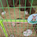 우산목장 이미지