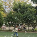 중앙병설유치원 | 천안에서 첫아이 5세반 유치원 결정하기 (2)