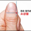 한솔한방 이미지