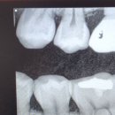 사랑이가득한치과의원 이미지