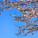 경기도광주 스테이화담 독채펜션 이미지