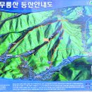 함안 영동리 회화나무 이미지