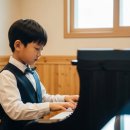 피아노숲 이미지