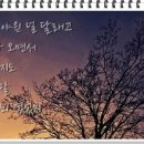 하늘도시탑공인중개사사무소 이미지
