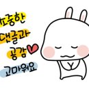 나도 스마트폰(카메라)으로 인생사진 찍는다. 이미지
