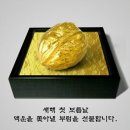 인스케어코어 이미지