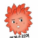 할매손맛 팥죽 네이버블로그