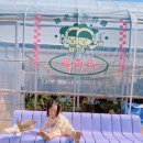 하리 농장 | 대구근교 청도 아이랑 가볼만한곳 - 실내놀이터 &amp; 허브체험 : 팜하리
