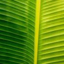 새솔고등학교 이미지