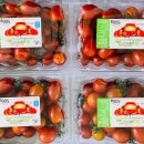 장고농장 이미지