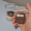 내 책상위의 작은 숲 테라리움 | 네츄럴 모스 이끼 테라리움 만들기 DIY KIT 후기